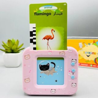 Card Early Education Device