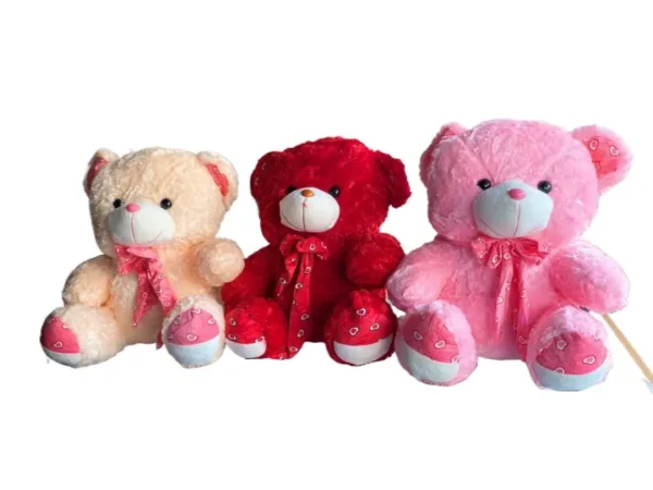 Cute Teddy Bear Birthday Gift