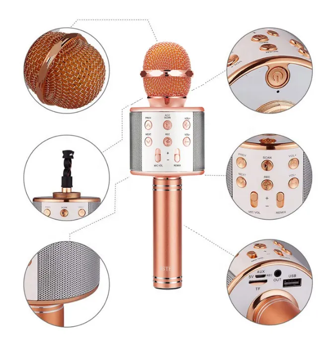 Microphone Loud Speaker for Kids