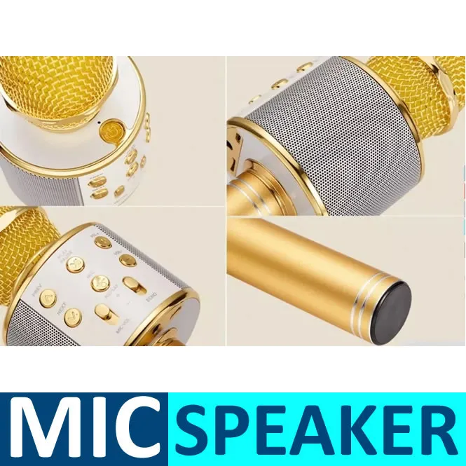 Microphone Loud Speaker for Kids