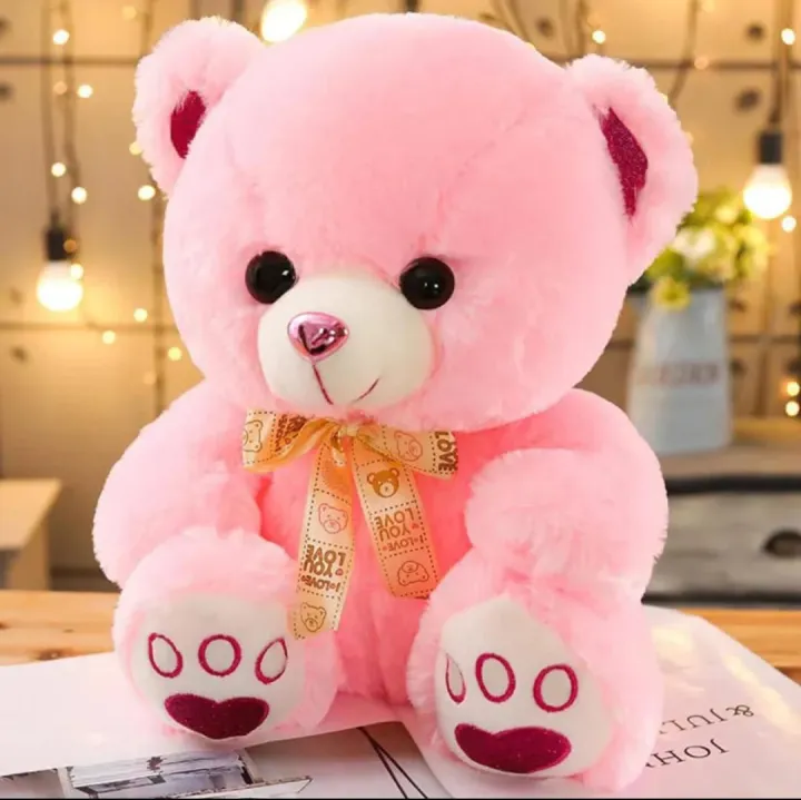 Teddy Bear Plush Toy for Boys & Girls