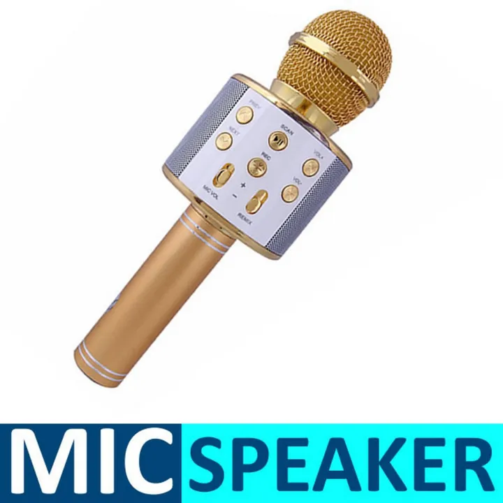 Microphone Loud Speaker for Kids